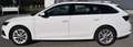 Skoda Octavia Combi 2,0 TDI Premium DSG Weiß - thumbnail 3