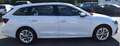 Skoda Octavia Combi 2,0 TDI Premium DSG Weiß - thumbnail 7