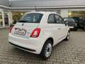 Fiat 500 1.0 Klima*Carplay*Einparkhilfe Blanc - thumbnail 6