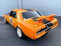 Ford Mustang Terlingua Racing, Showcar, Rarität! Orange - thumbnail 5