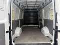Volkswagen Crafter Kasten 35 MR HD FWD/Schwingsitz/ACC/LED Weiß - thumbnail 8