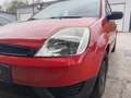 Ford Fiesta Fiesta Ambiente 1,3 8V Ambiente Rot - thumbnail 1