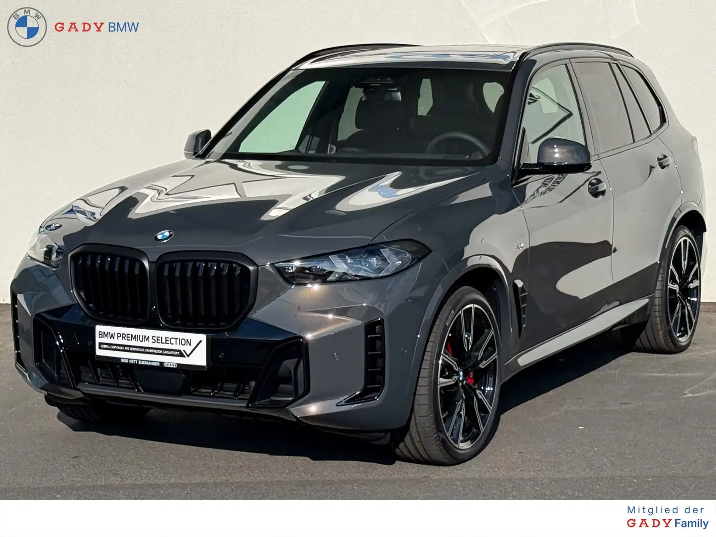 BMW X5 X5 xDrive30d Grau - 1