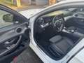 Mercedes-Benz E 220 d T 9G-TR Avantgarde *PANO/LED/NIGHT/DISTR/AHK/CAM Weiß - thumbnail 10