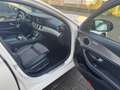 Mercedes-Benz E 220 d T 9G-TR Avantgarde *PANO/LED/NIGHT/DISTR/AHK/CAM Weiß - thumbnail 9