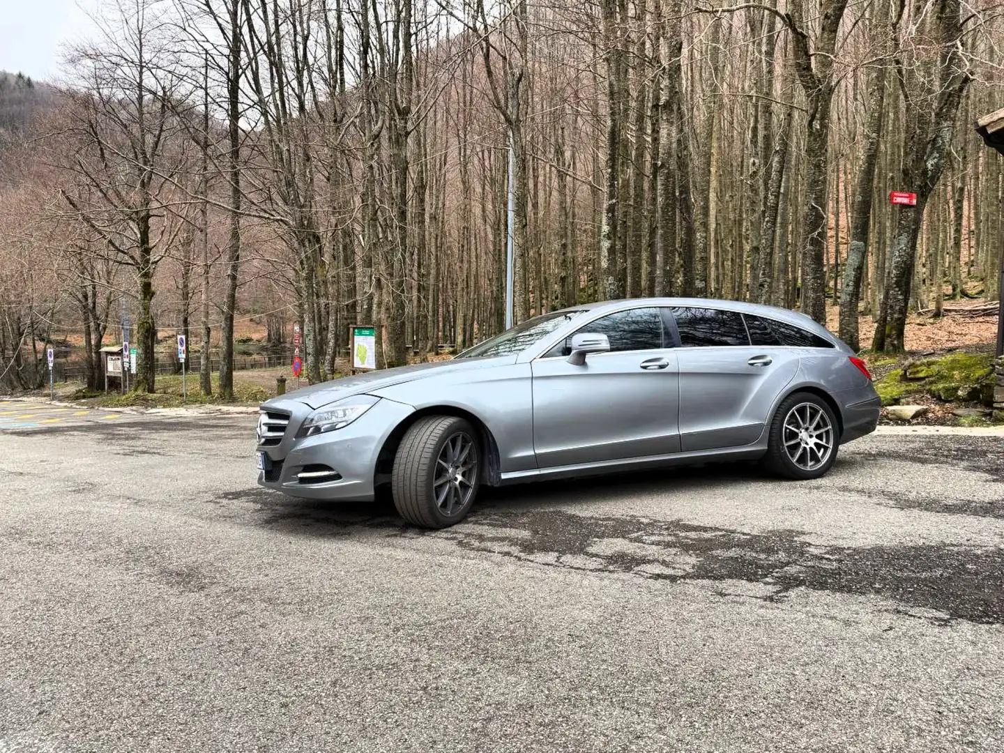 Mercedes-Benz CLS 250 Shooting Brake CDI 7G-TRONIC Серый - 2