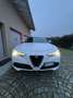 Alfa Romeo Stelvio 2.0 t First Edition Q4 280cv auto Bianco - thumbnail 1