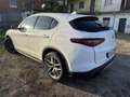 Alfa Romeo Stelvio 2.0 t First Edition Q4 280cv auto Bianco - thumbnail 13
