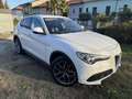 Alfa Romeo Stelvio 2.0 t First Edition Q4 280cv auto Bianco - thumbnail 11