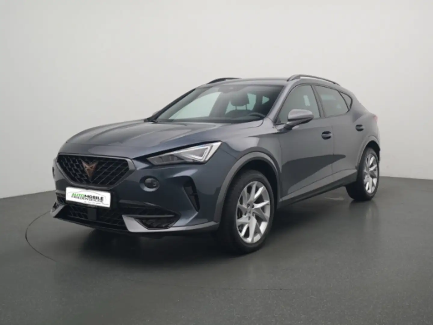CUPRA Formentor 1.5 TSI 110 KW Clima PDC Kamera FULL LINK Grau - 1