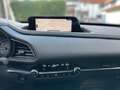 Mazda CX-30 Selection*Navi*Head-Up*ACC*SHZ*2.0 SKYACTIV Rot - thumbnail 9
