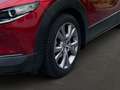 Mazda CX-30 Selection*Navi*Head-Up*ACC*SHZ*2.0 SKYACTIV Rot - thumbnail 6
