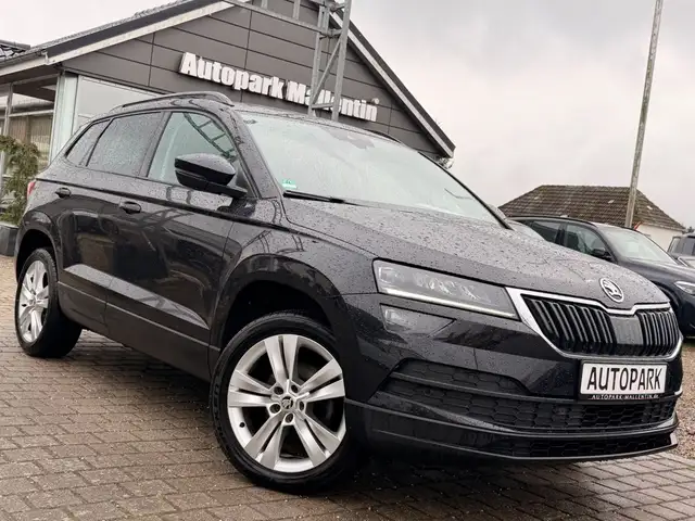 Skoda Karoq main image