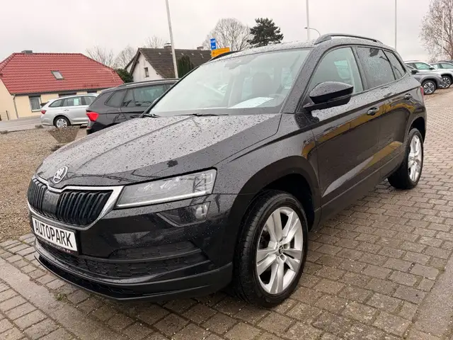 Skoda Karoq view 3
