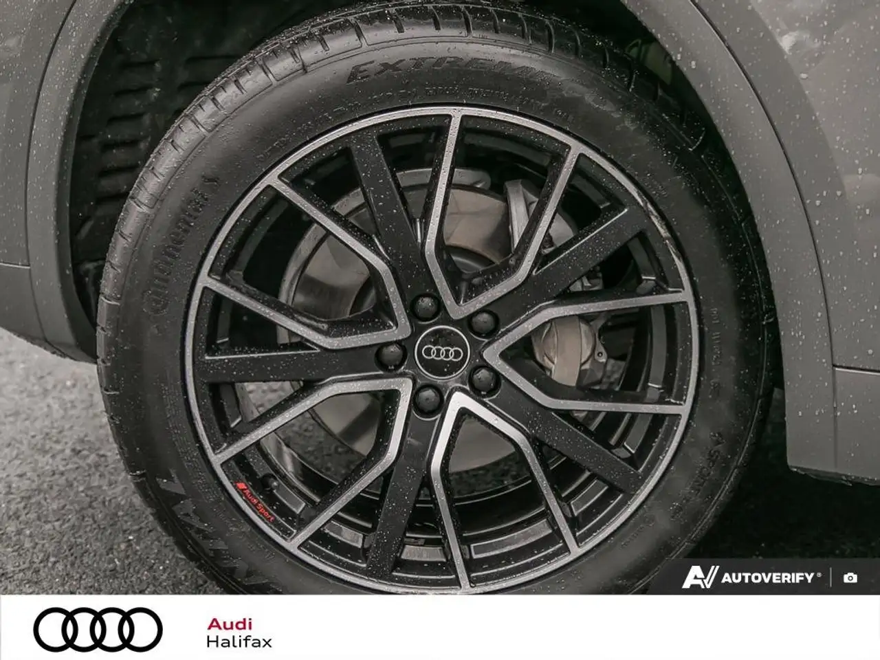 Audi Q5 fotografie Audi Q5