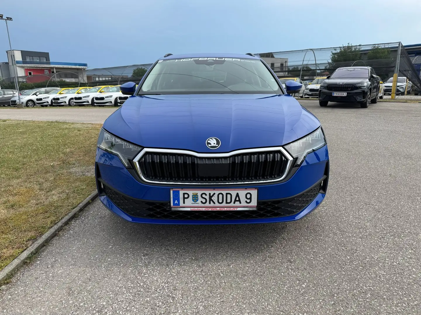 Skoda Octavia Essence TSI Bleu - 2