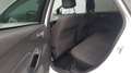 Ford Focus Turnier 1.0 EcoBoost Business*ZAHNRIEMEN-INSP.NEU* Blanc - thumbnail 14