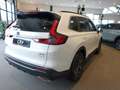 Honda CR-V 2.0 Full Hybrid 184pk AWD CVT Advance Weiß - thumbnail 7