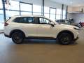 Honda CR-V 2.0 Full Hybrid 184pk AWD CVT Advance Weiß - thumbnail 8