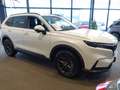 Honda CR-V 2.0 Full Hybrid 184pk AWD CVT Advance Weiß - thumbnail 9