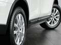 Nissan X-Trail 1.3 DIG-T 160pk DCT Business Edition Wit - thumbnail 6
