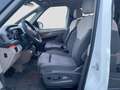 Volkswagen T7 Multivan T7 Multivan Edition lang Panoramadach Digitalcoc Weiß - thumbnail 10
