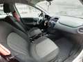 Fiat Punto Punto 5p 1.3 mjt II 16v Lounge eco Weiß - thumbnail 12