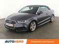 Audi S3 2.0 TFSI quattro Aut.*NAVI*LED*ACC*PDC*SHZ* Grau - thumbnail 1