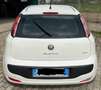 Fiat Punto Evo 3p 1.3 mjt Active 75cv Bianco - thumbnail 4