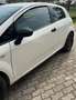 Fiat Punto Evo 3p 1.3 mjt Active 75cv Bianco - thumbnail 7