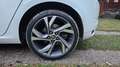Renault Megane Mégane S.T. 1.6 TCe Energy GT EDC 151kW GT Blanco - thumbnail 13