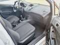 Ford Fiesta 5p 1.4 16v Titanium Gpl FL Blanc - thumbnail 11
