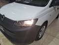 Volkswagen Caddy Cargo 2.0 TDI furgón derivado de turismo Blanco - thumbnail 19