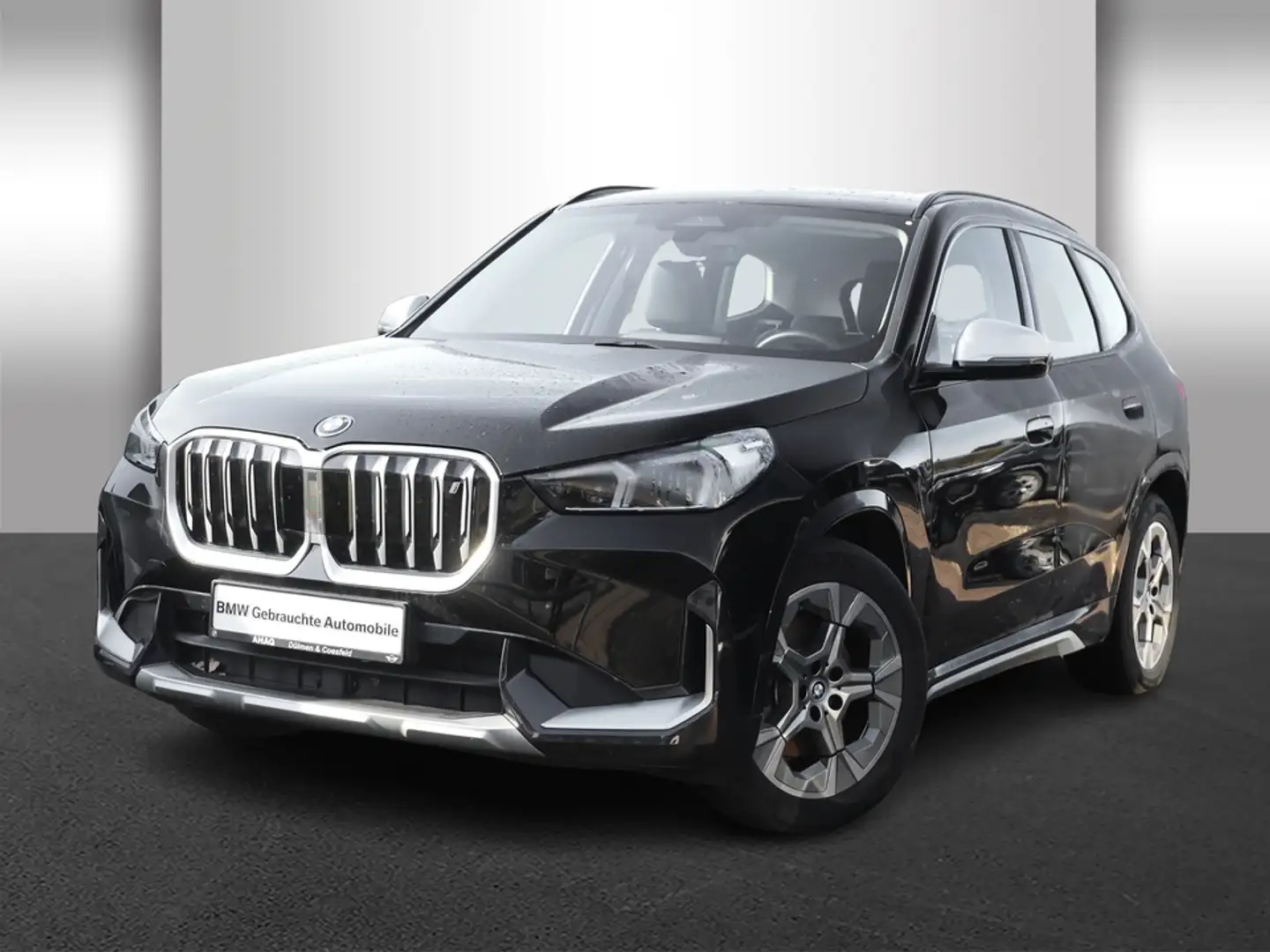 BMW iX1 xDrive30 Adaptives Fahrwerk Komfortzugang Schwarz - 2