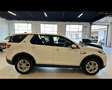 Land Rover Discovery Sport 2.0 TD4 163 CV AWD Auto Bianco - thumbnail 6