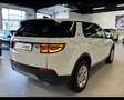 Land Rover Discovery Sport 2.0 TD4 163 CV AWD Auto Bianco - thumbnail 5