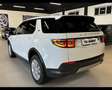 Land Rover Discovery Sport 2.0 TD4 163 CV AWD Auto Bianco - thumbnail 3