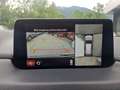 Mazda CX-5 CD150 AWD Edition 100 Aut. Schwarz - thumbnail 14