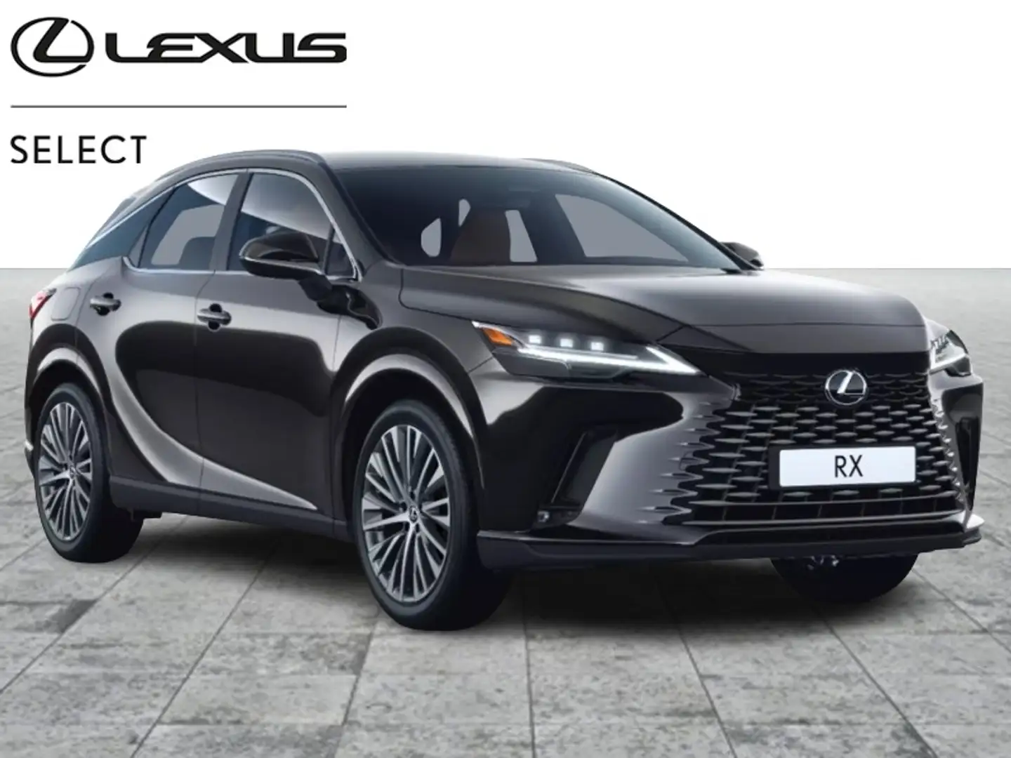 Lexus RX 450h Executive Line Černá - 1