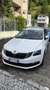 Skoda Octavia Octavia Combi 2,0 TDI Tüv neu Euro6b PERFEKT!!! Weiß - thumbnail 1