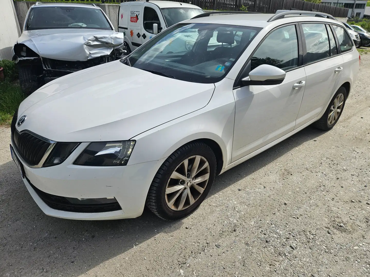 Skoda Octavia Octavia Combi 2,0 TDI Tüv neu Euro6b PERFEKT!!! Weiß - 1