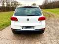 Volkswagen Tiguan Cup Sport 1.4 TSI*Automatik*BI-Xenon*Navi*RFK* Weiß - thumbnail 6