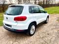 Volkswagen Tiguan Cup Sport 1.4 TSI*Automatik*BI-Xenon*Navi*RFK* Weiß - thumbnail 5