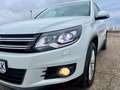 Volkswagen Tiguan Cup Sport 1.4 TSI*Automatik*BI-Xenon*Navi*RFK* Blanc - thumbnail 27