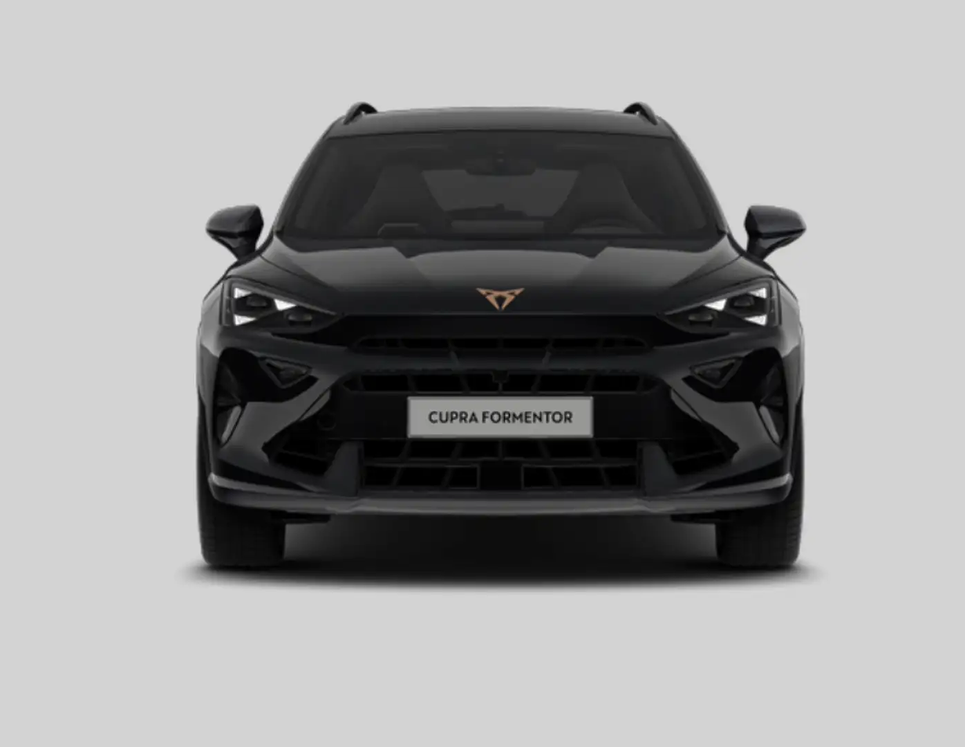 CUPRA Formentor VZ Black Edition 2.0 TSI 245 kW (333 PS) 7-Gang DS Schwarz - 2