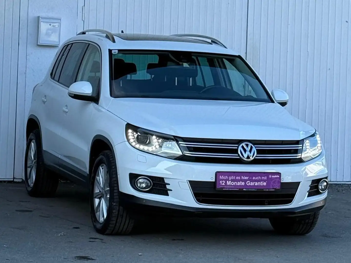 Volkswagen Tiguan Sport Weiß - 1