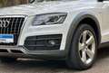 Audi Q5 3.0 TDI  quattro Offroad S line Pano Navi Weiß - thumbnail 10