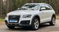 Audi Q5 3.0 TDI  quattro Offroad S line Pano Navi Weiß - thumbnail 1
