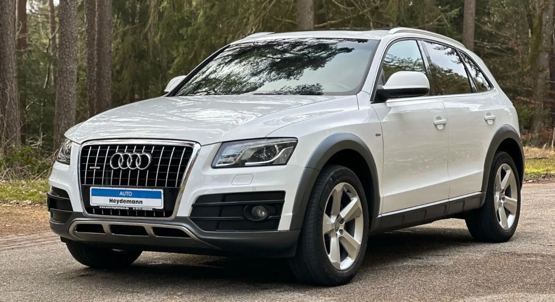 Audi Q5 3.0 TDI  quattro Offroad S line Pano Navi Weiß - 1