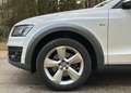 Audi Q5 3.0 TDI  quattro Offroad S line Pano Navi Weiß - thumbnail 8